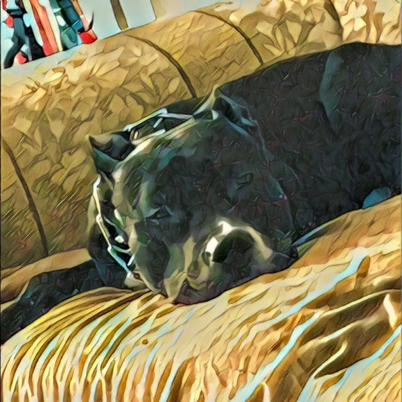 Meet your Posher, Sara Rose - Picture 5 of 12